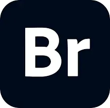 Adobe Bridge – Business Plan
