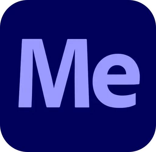 Adobe Media Encoder – Business Plan